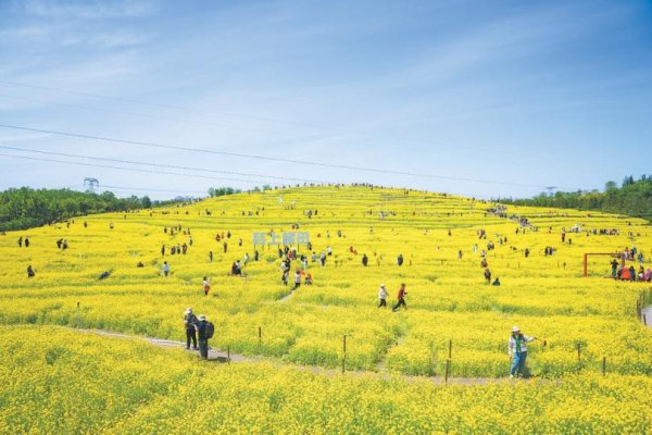 德恒财富 在北京这座“千园之城”：公园里装着都市生活下半场