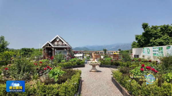 K线猎手 逃离高温！密云这个村竟藏了个莫奈花园！